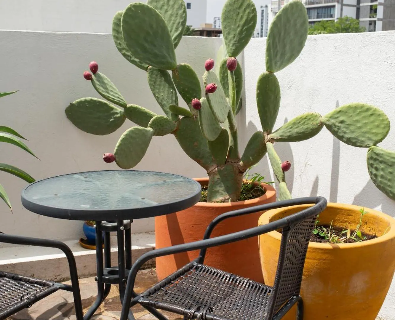 Apartamento Centrico Departamento De 3 Habitaciones Guadalajara