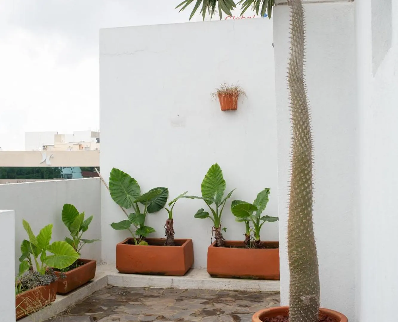 Centrico Departamento De 3 Habitaciones Guadalajara México